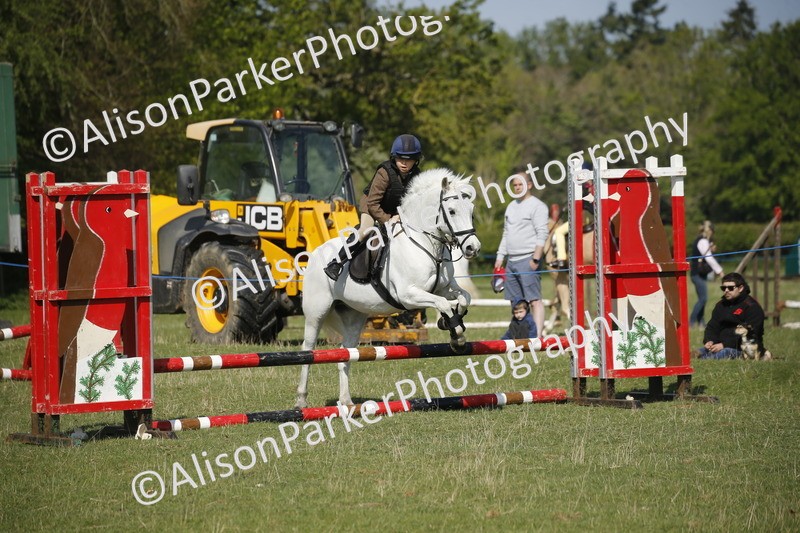 20250427-0436 - Class 12 - Rookie Jumping 40cm
