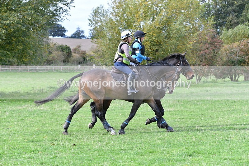 WJ5_0331 - Time 13:25 to 13:58