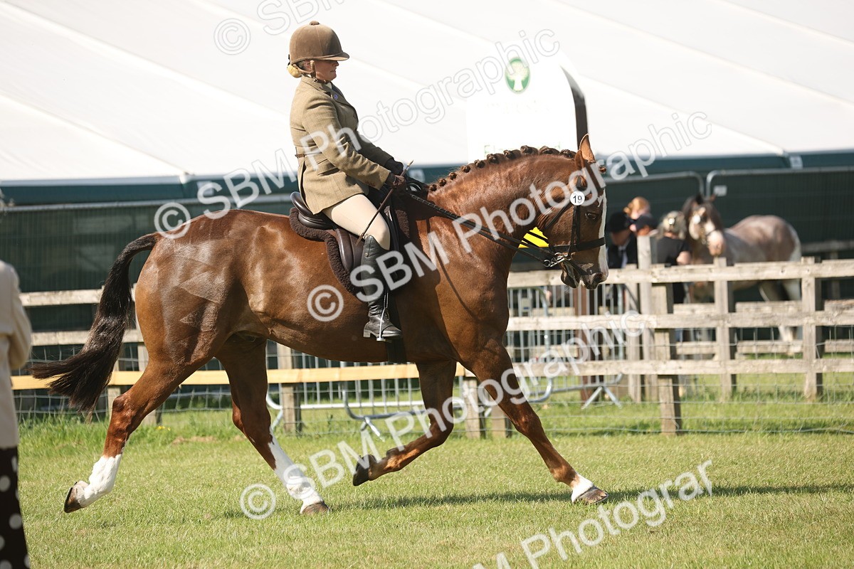 SBM_09652 - Class 33-38 - SSADL RIHS Qualifiers