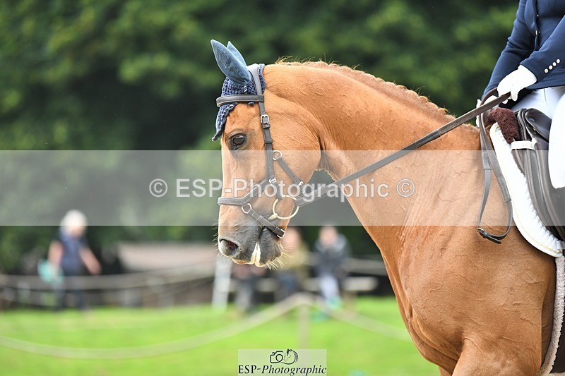 230812-122925-04131 - Cls 6 Novice Silver 12.10 to End