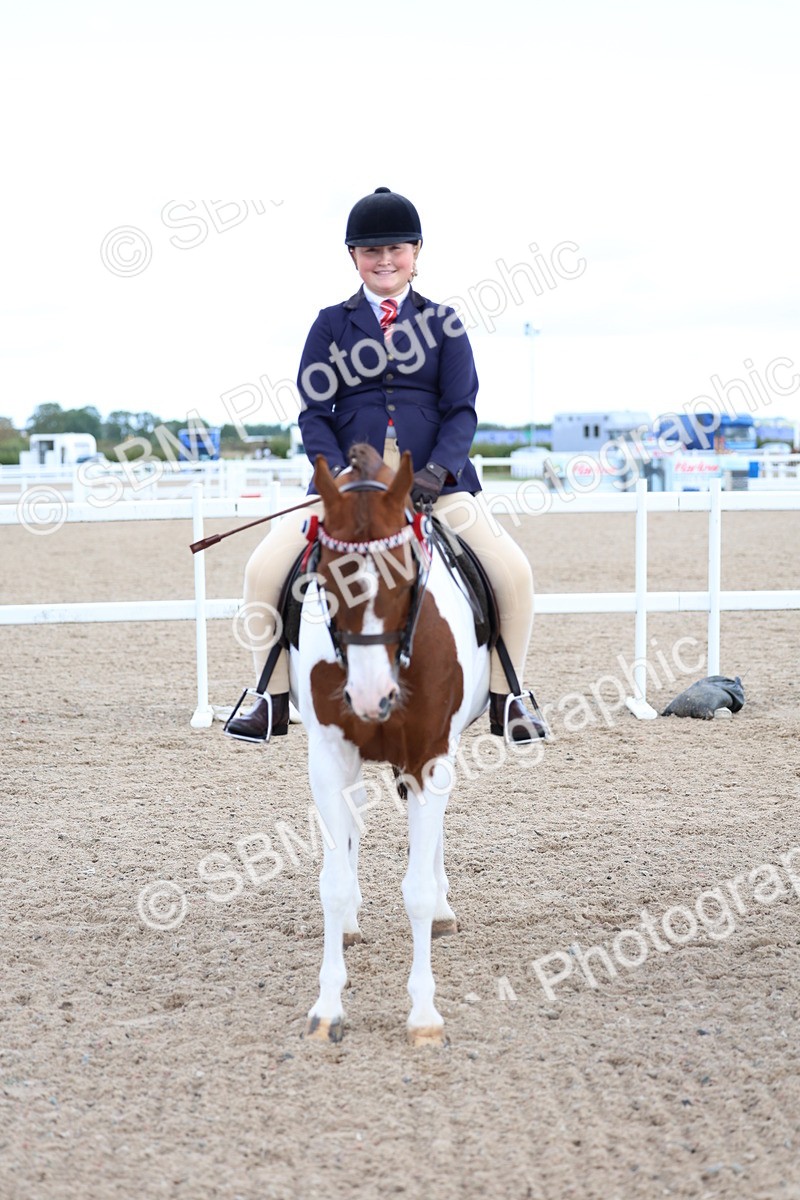 SBM_10136 - Class 304 - Ridden Part Bred Horse Pony
