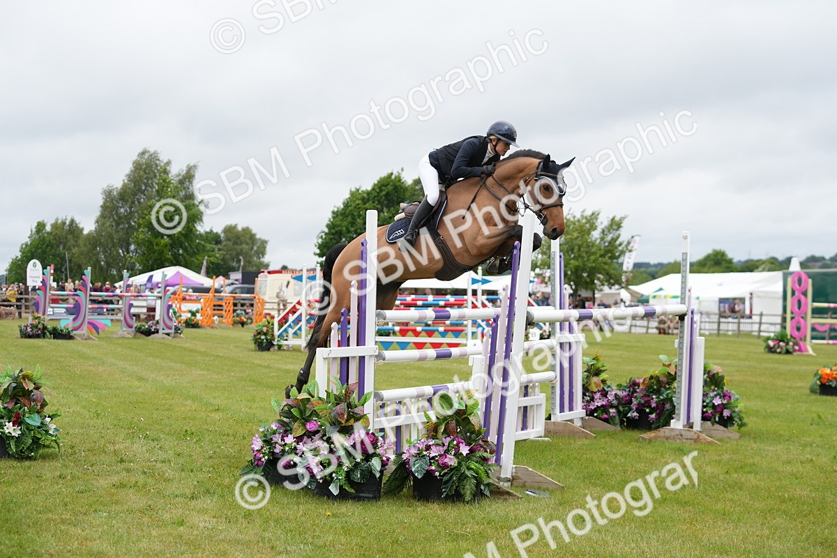 SBM_03372 - Class 201 - British Horse Feeds Speedi Beet Horse of the Year Show Grade  C