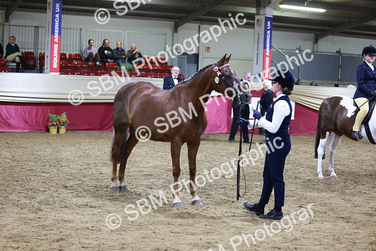 SBM_21233 - Class R - Veteran Champ