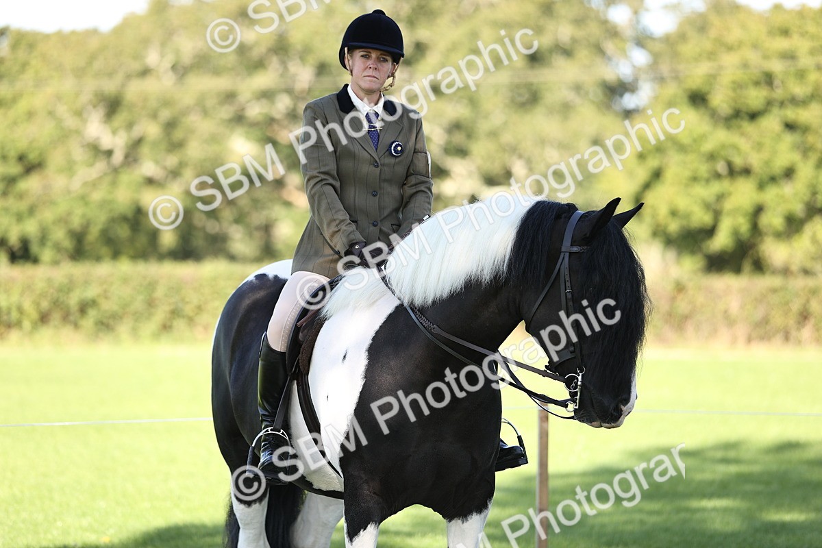 SBM_16920 - S2 - TSR Ridden Pony Showing