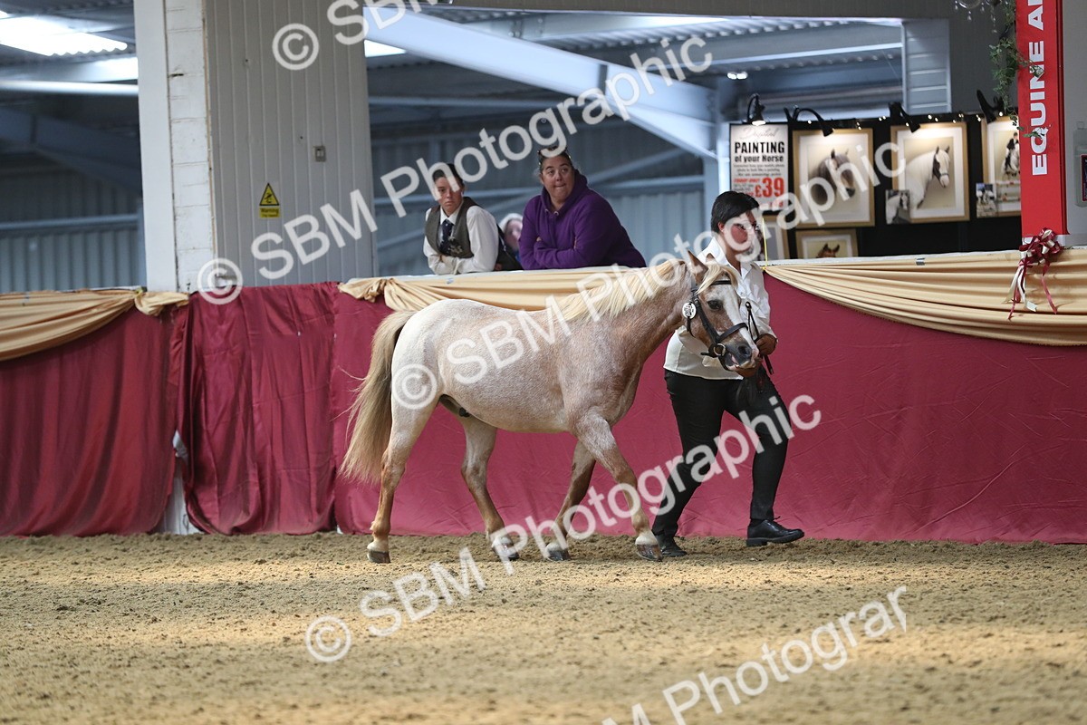 SBM_15260 - Class 501 M&M IH Supreme Final