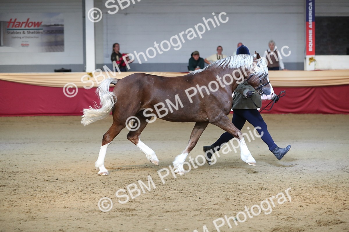 SBM_01355 - Class 3a Area IH Pre Vet