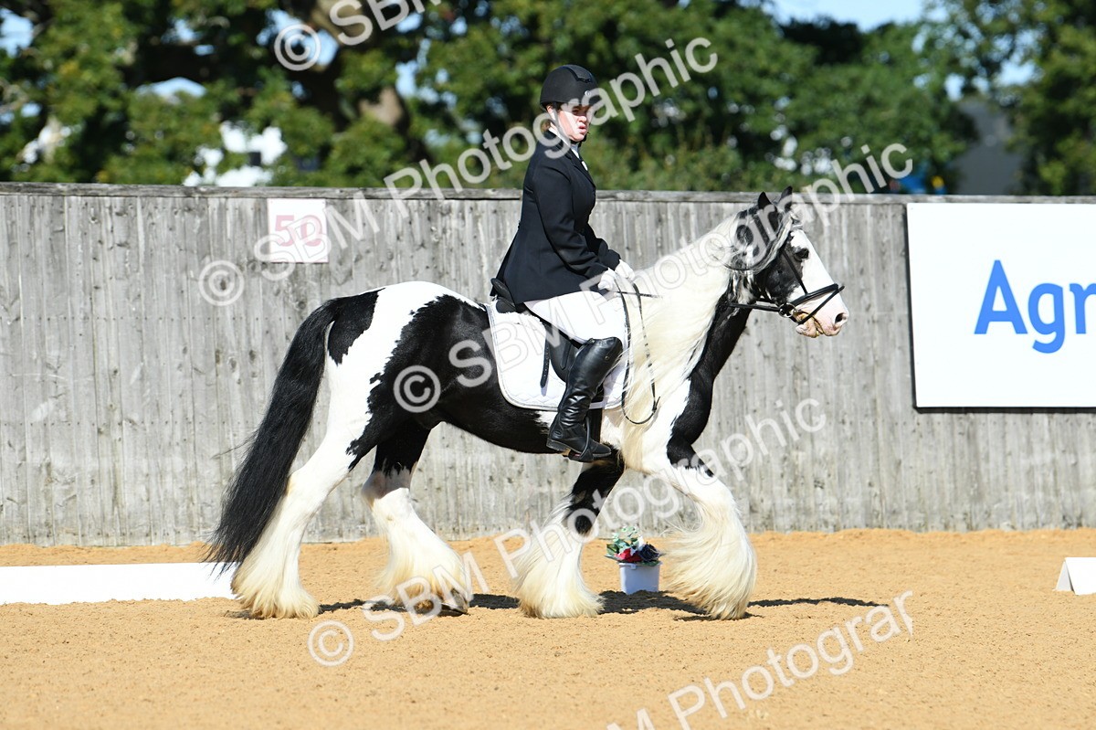 SBM_18061 - D4 - Small Tour Championship - Intro B
