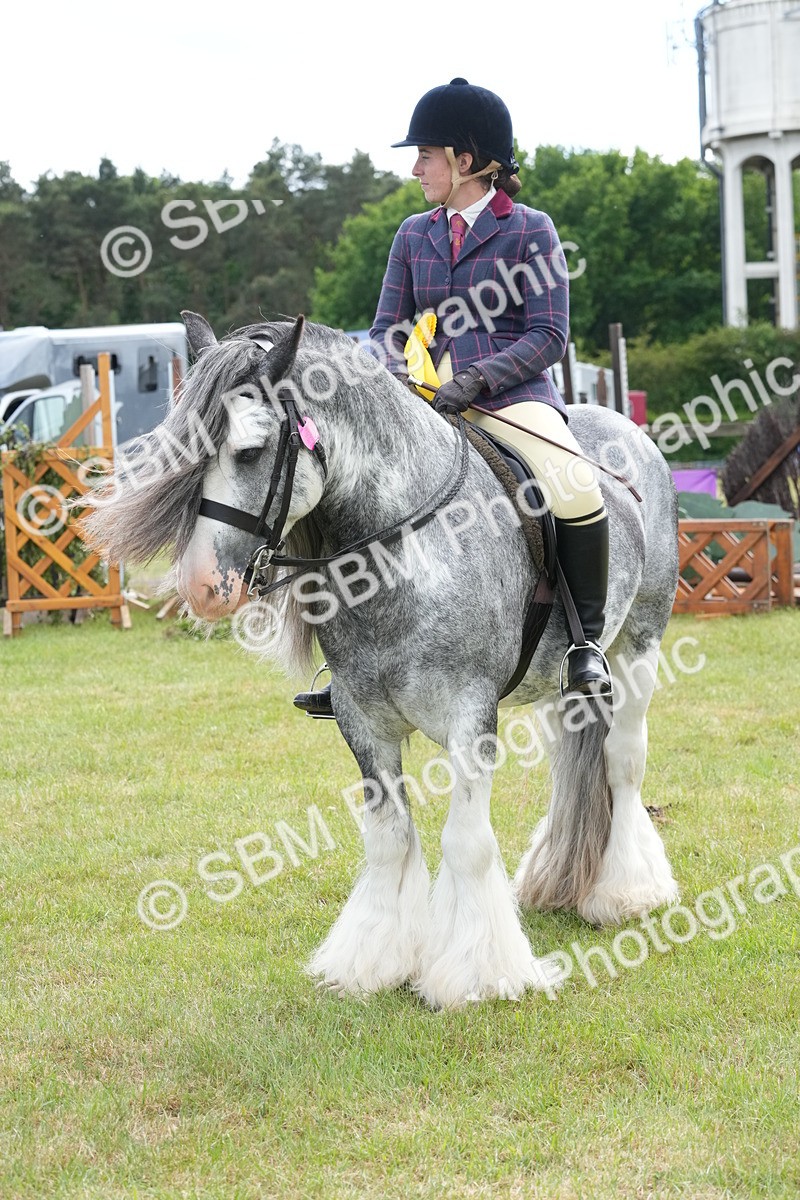 SBM_17326 - Class 107-108 - LIHS BSPS Performance Coloured Horse Pony