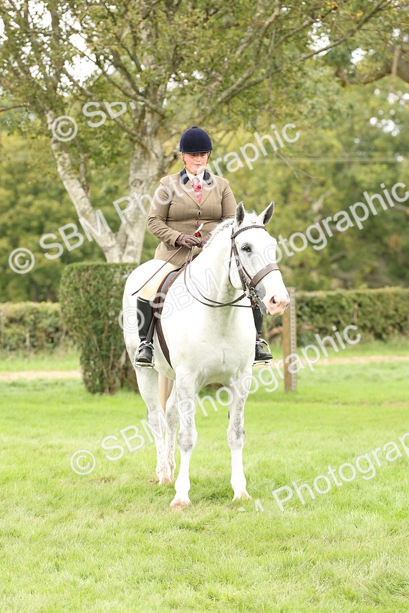 SBM_66392 - S66 - Hunter Ridden