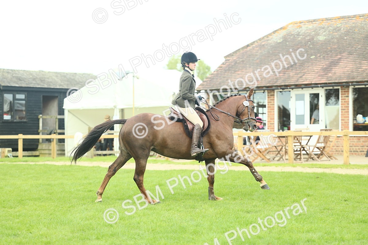 SBM_47957 - S32 - Novice & Newcomers Working Hunter