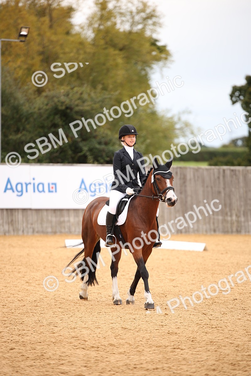 SBM_12224 - D3 Small  Tour Championship Intro A