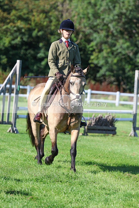 3E7A7753 - Class 2: Open Working Hunter pony