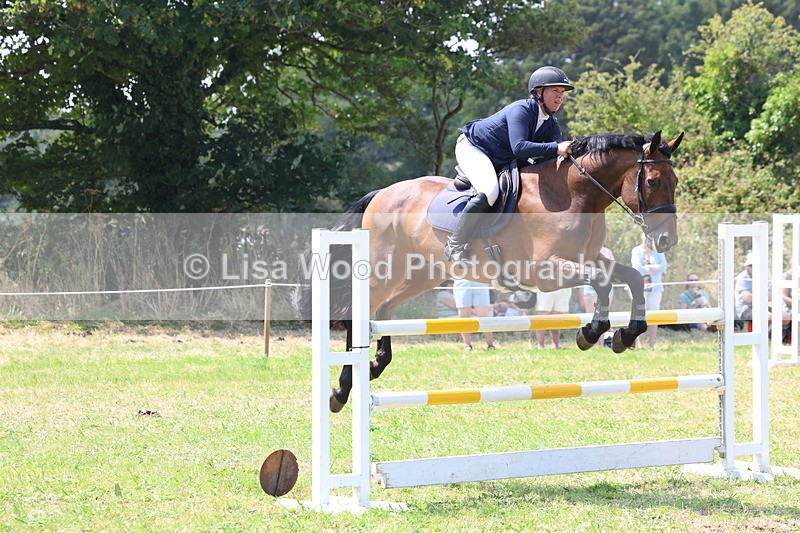 3E7A3392 - Class 10: Senior Foxhunter/1.20 open