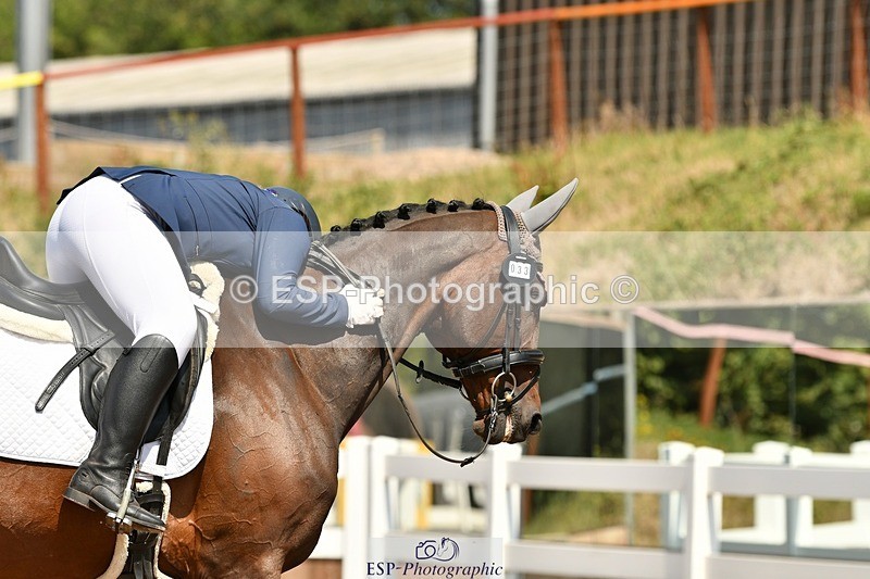 250817-134125-10049 - 033-Frankie.TorodeFirst.Impression.VI