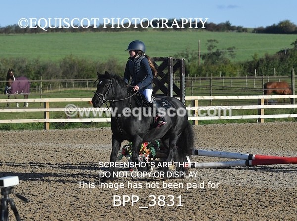 BPP_3831 - CLASS 0 Clear Round Show Jumping