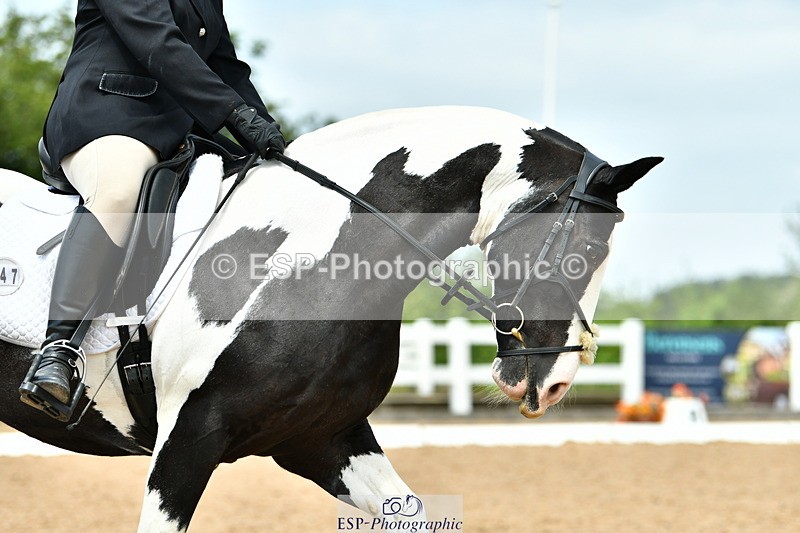 230702A-130857-09796 - Cls 28 Elementary 45