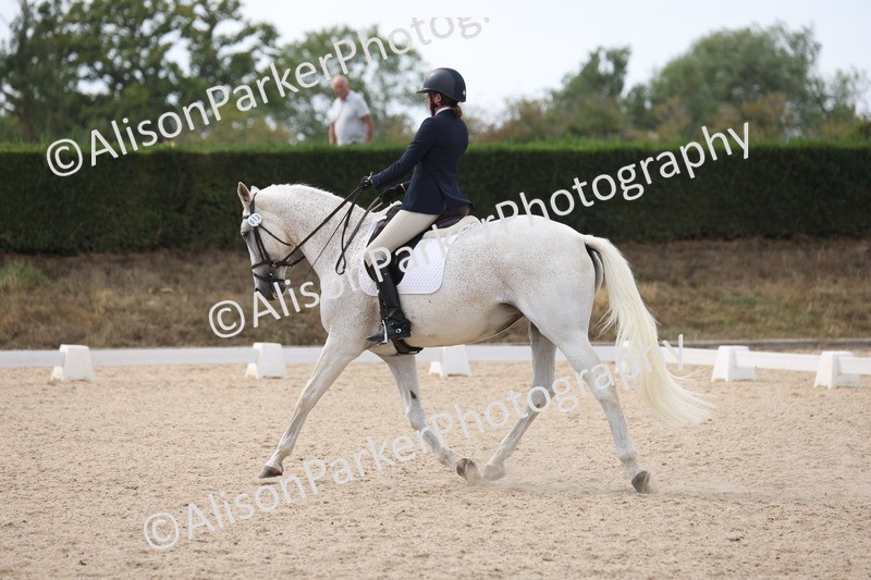 20250819-1608 - Class 6 - Elementary 1