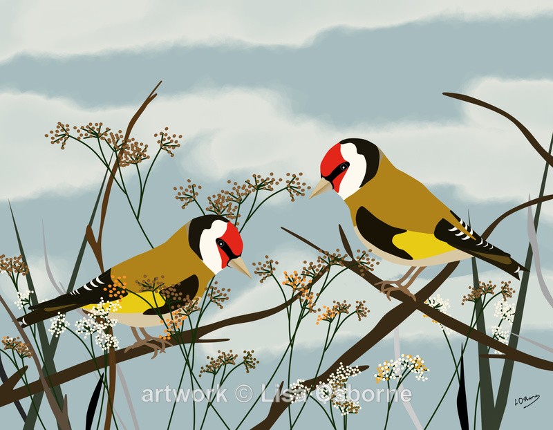 Goldfinches - Birds