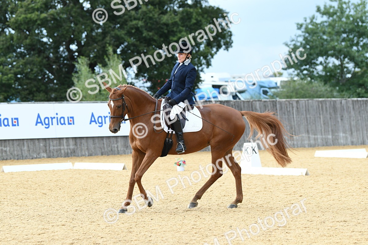 SBM_11018 - D28 Elementary Taster Elementary 42