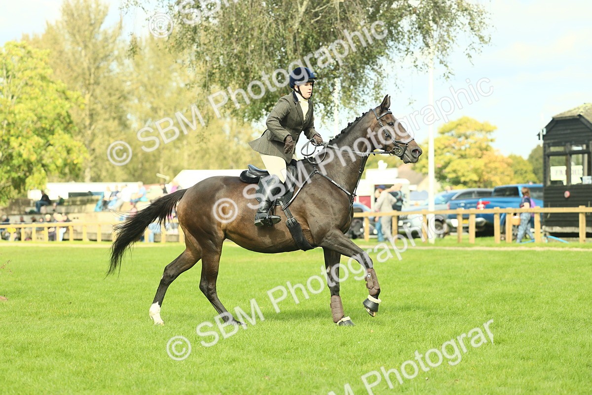 SBM_48015 - S32 - Novice & Newcomers Working Hunter