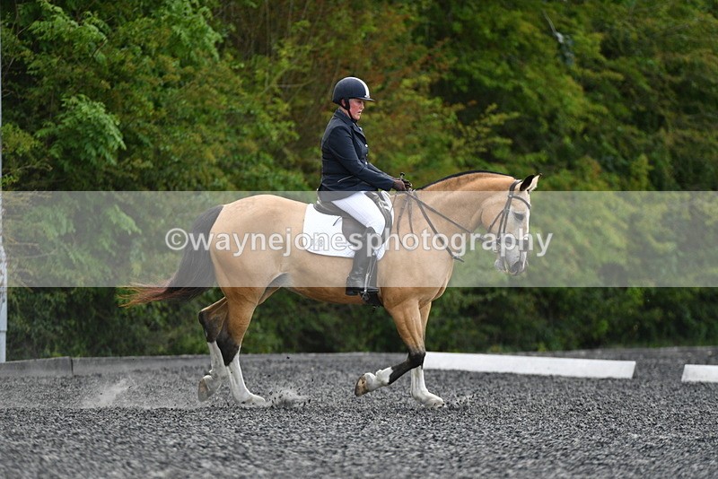 WJ5_0385 - Time 12:24 to 13:01