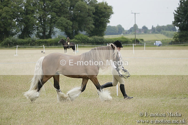 B230619-0732 - Bourne Valley Riding Club Summer Show 23/06/19
