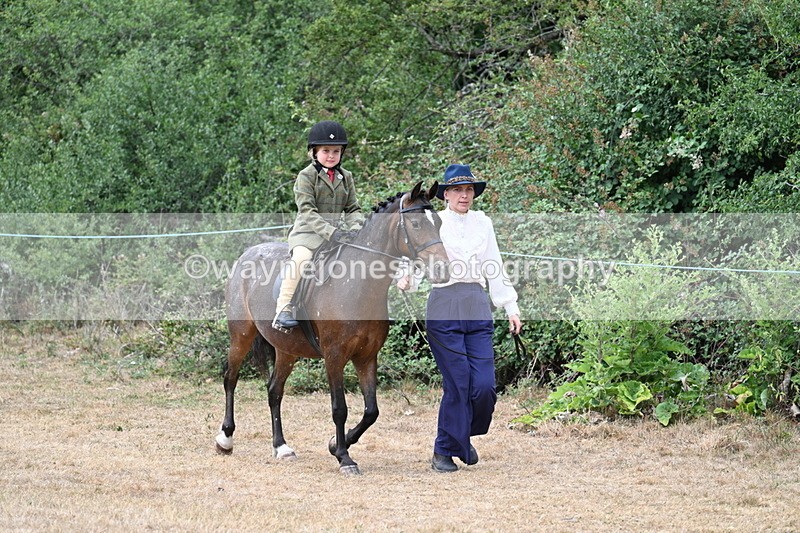 WJ7_0383 - Class 6 Ridden Mountain and Moorland