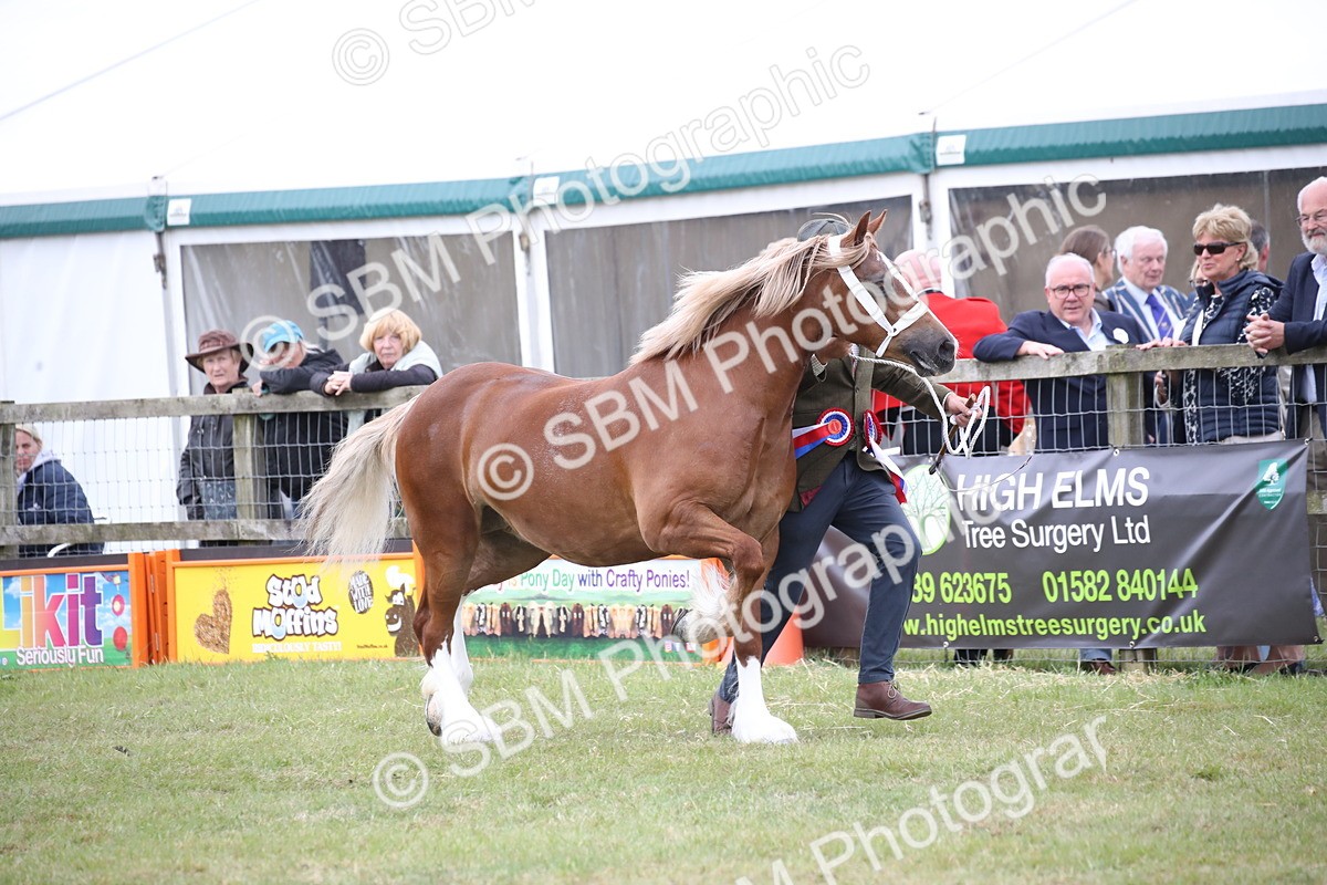 SBM_09757 - Ch 50 - Price Family Supreme In Hand