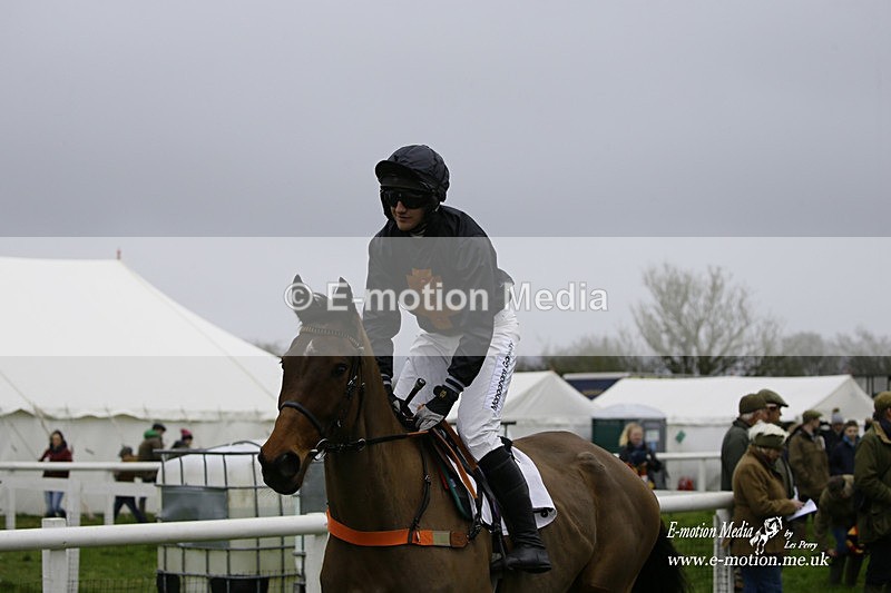 PtP 200222 37 - Countryside Alliance PtP Badbury Rings 20/02/22