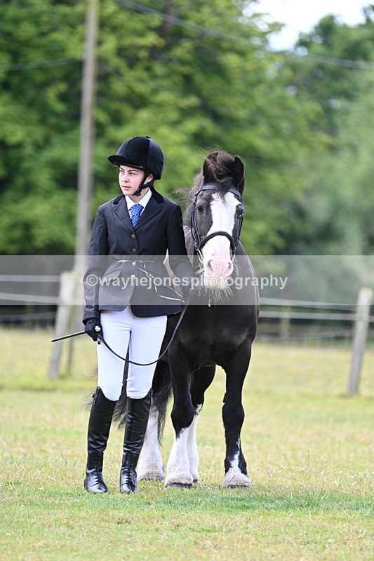 WJ7_6766 - Class 5 Handsome Gelding in hand