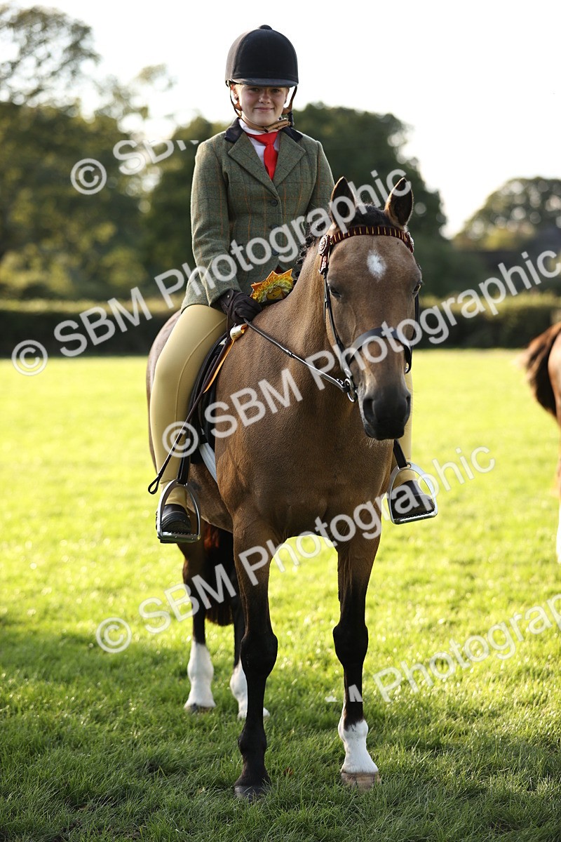 SBM_29645 - S7 - Novice & Newcomers Ridden Pony