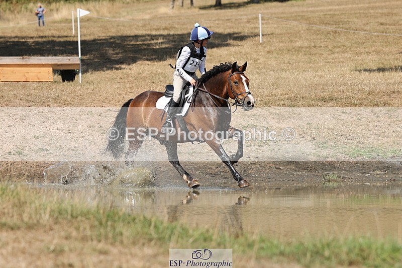 250824A-145317-39138 - 2147-George.Walford-meadow.sweet.conker