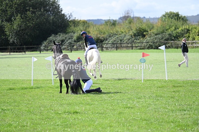 WJ7_8539 - 60cm Pairs