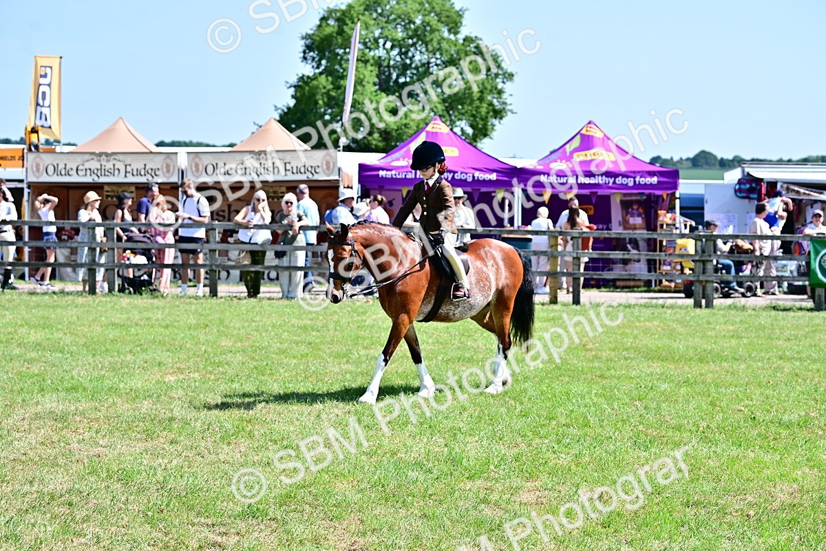 SBM_13916 - Class 95-97 - BSPS LHS Performance Ponies