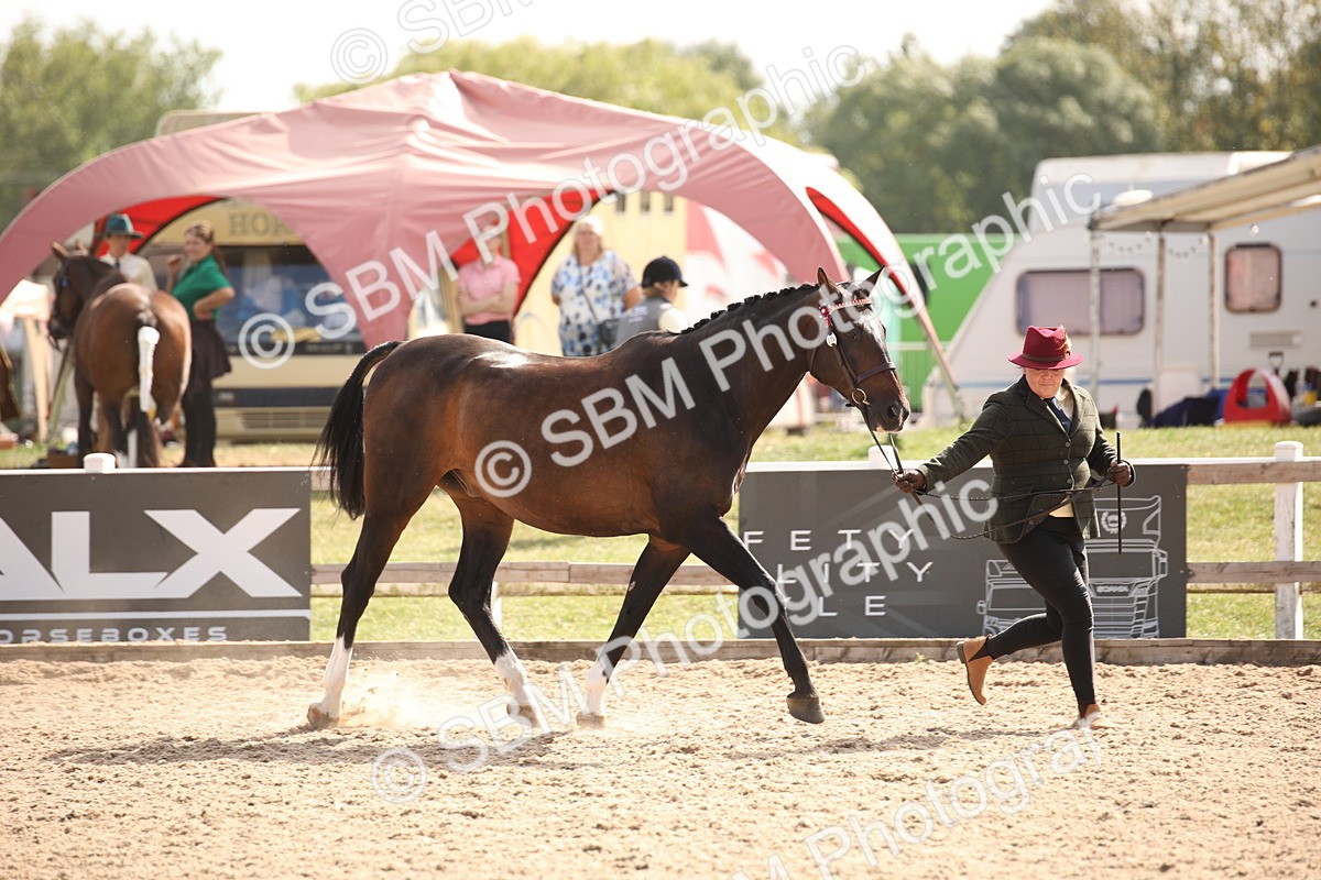 SBM_07040 - Class 25 IH Foreign Breeds- Pure bred