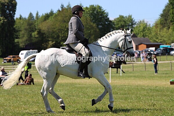 IMG_4179 - Working Hunter