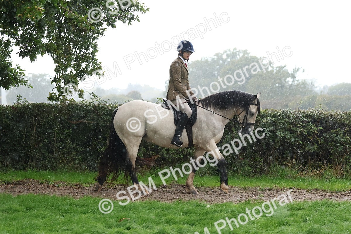 SBM_36784 - S11 - Best Ridden Horse & Pony