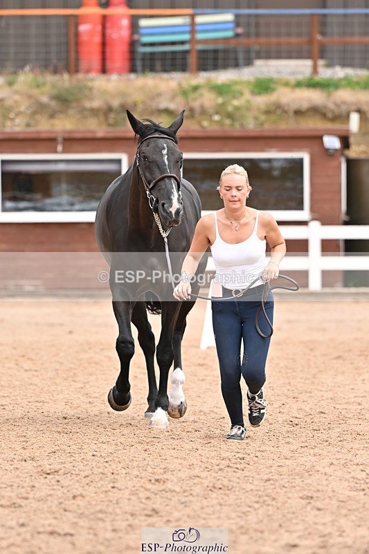 250716-144336-01334 - Trot Up 2.30 to 3.30