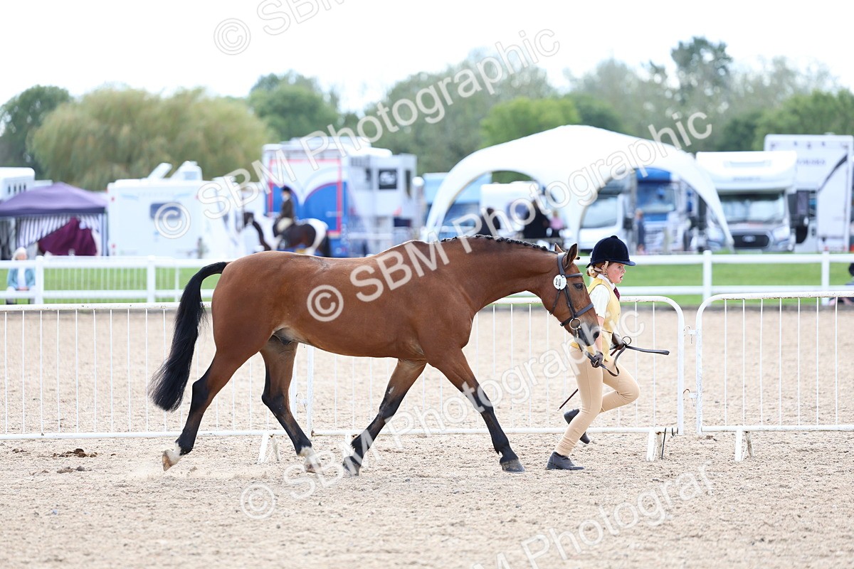 SBM_15322 - Class 312 - IH Competition Horse-Pony