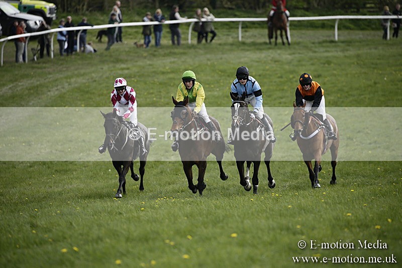PtP 170417 311 - Old Berks Point-to-Point Lockinge 17/04/17