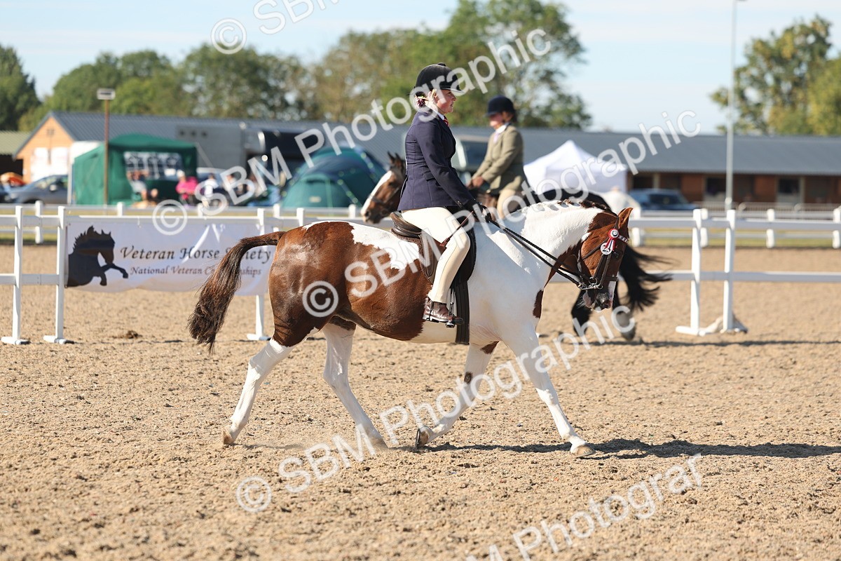 SBM_12338 - Class 304 - Ridden part Bred Horse Pony