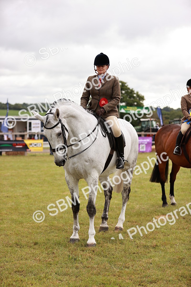 SBM_10890 - Class 81-84 - RIHS Ridden hunters Inc Ladies Hunter