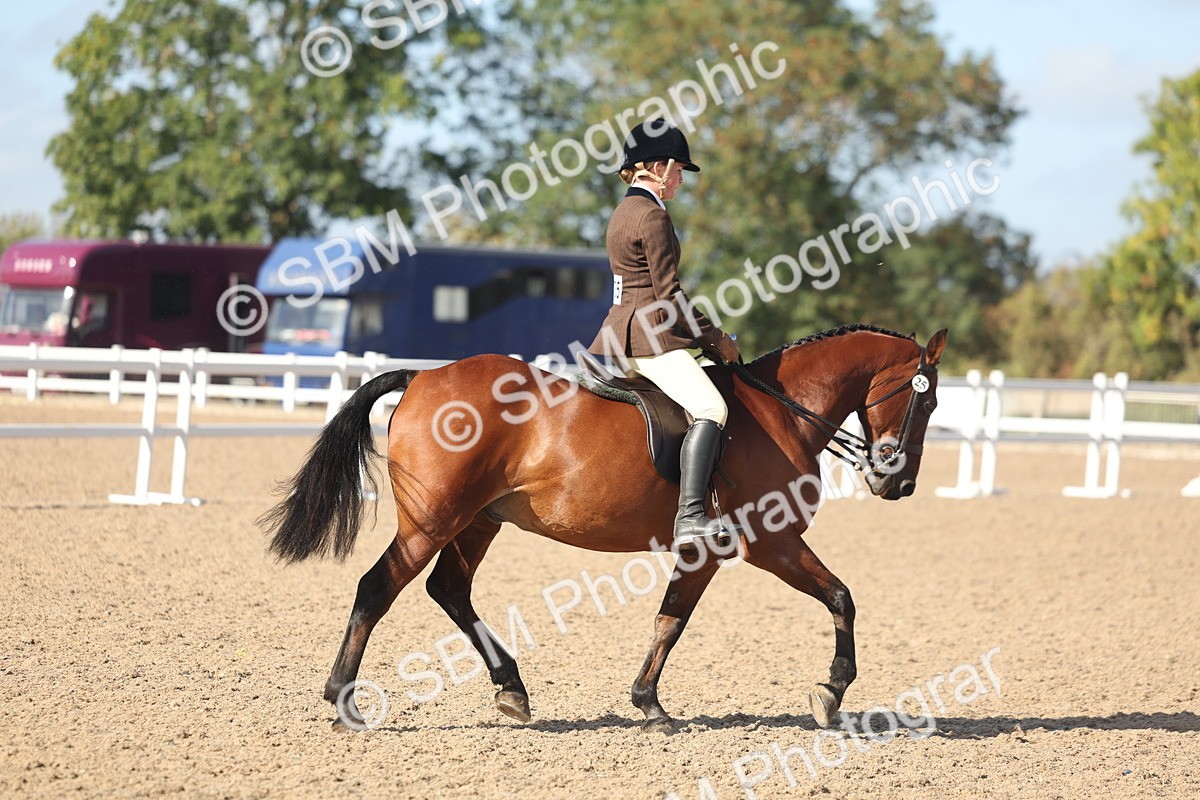 SBM_22610 - Class 804 - Ridden Veteran Pony