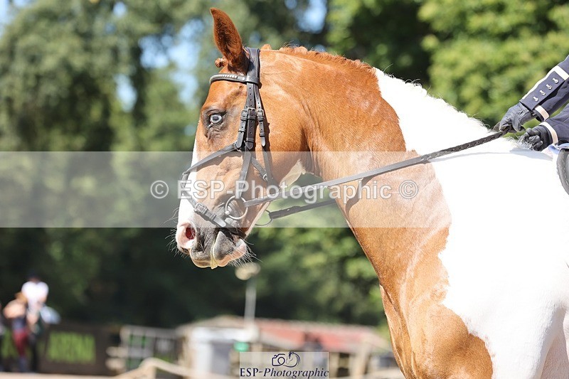 240719-110028-00847 - 164-Rachel_Collins-Clonown_Boy