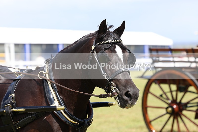 3E7A2778 - Class 12: Open Driving
