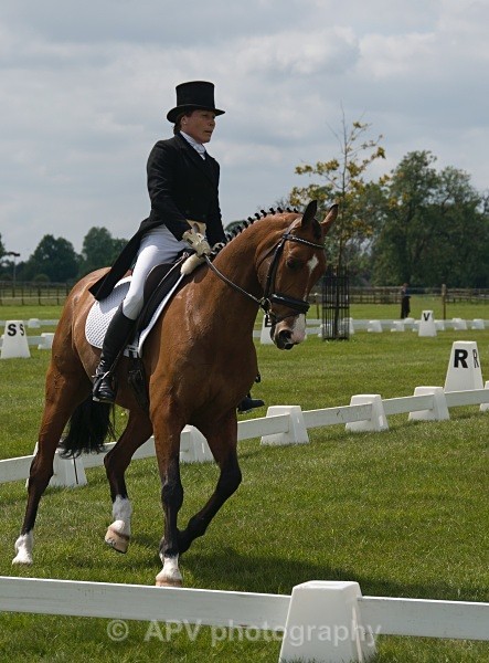  - Horses'n'Ponies