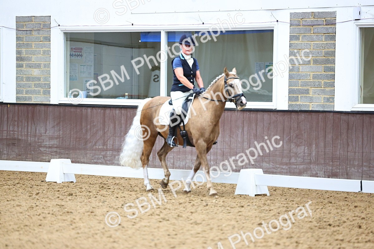 SBM_005572 - Elementary 2