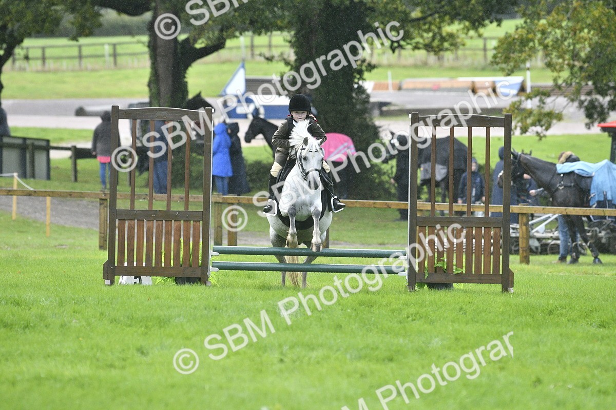 SBM_37159 - S31 - Novice & Newcomer Working Hunter Pony