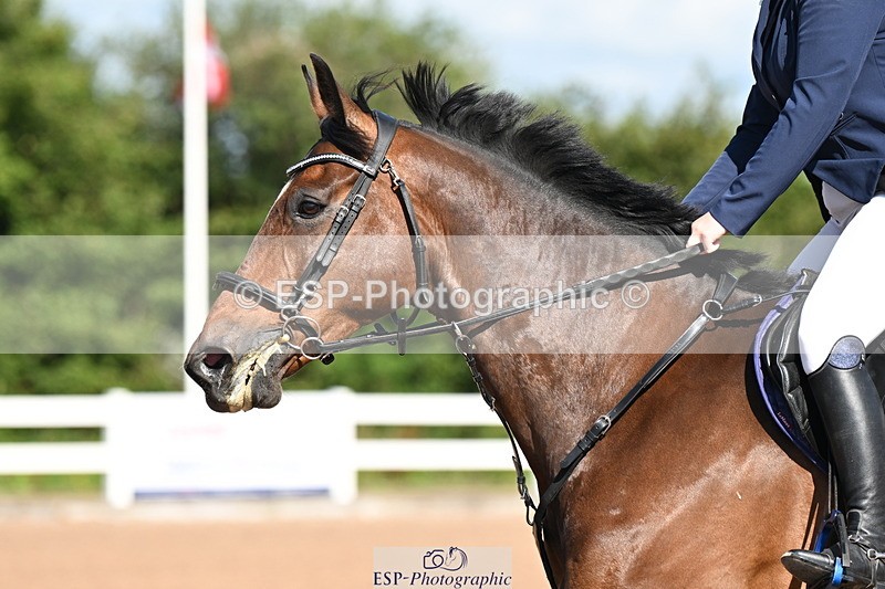 240728A-100140-07766 - Cls 33 Snr British Novice and 90cm Open