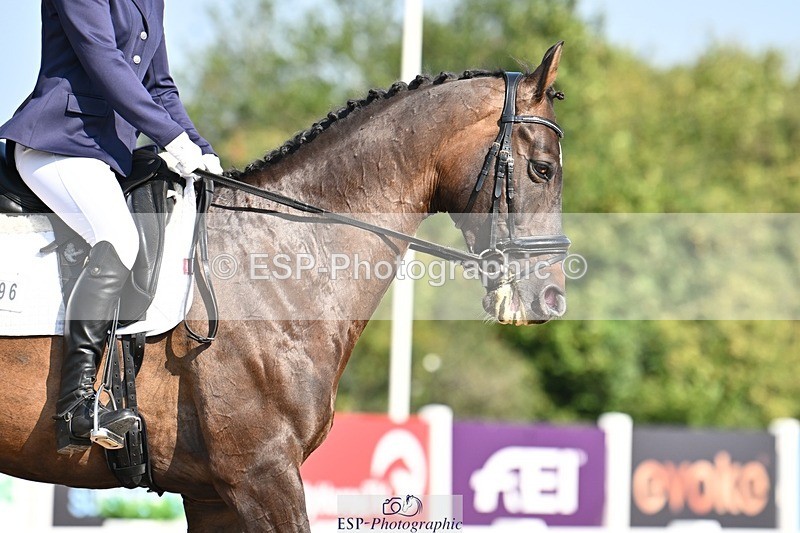 250816-100009-03017 - 096-Louisa.ChattingFirst.Mohican.II